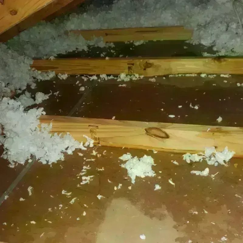 Attic Water Damage in Riverside County, CA